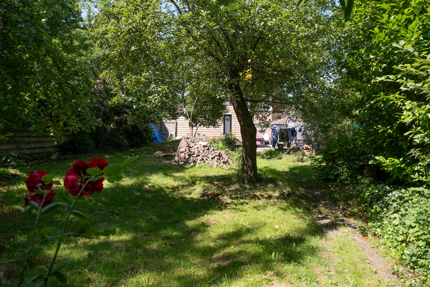 Photo 40 of Uiterburen 36