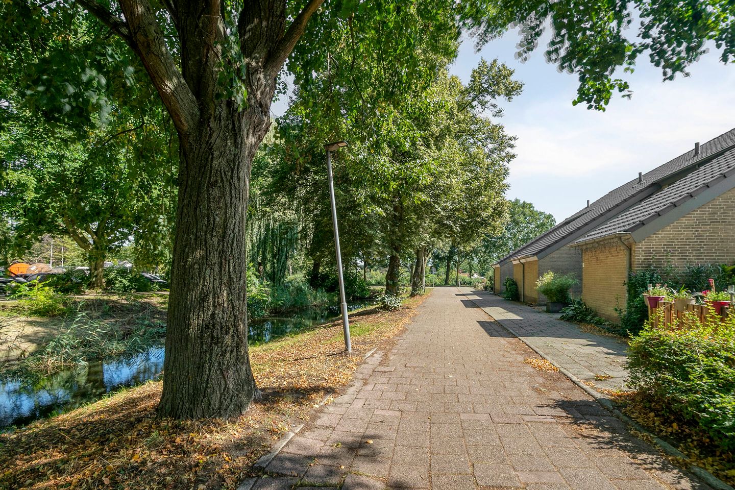 Photo 44 of Andoorn 27