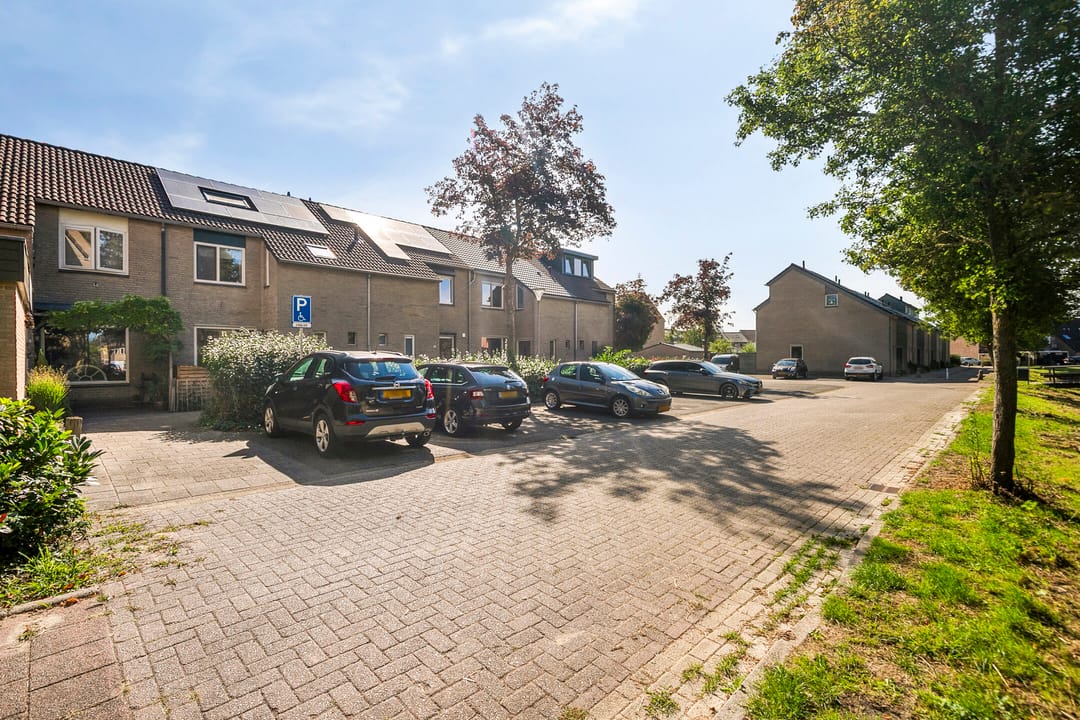 Photo 38 of Andoorn 27