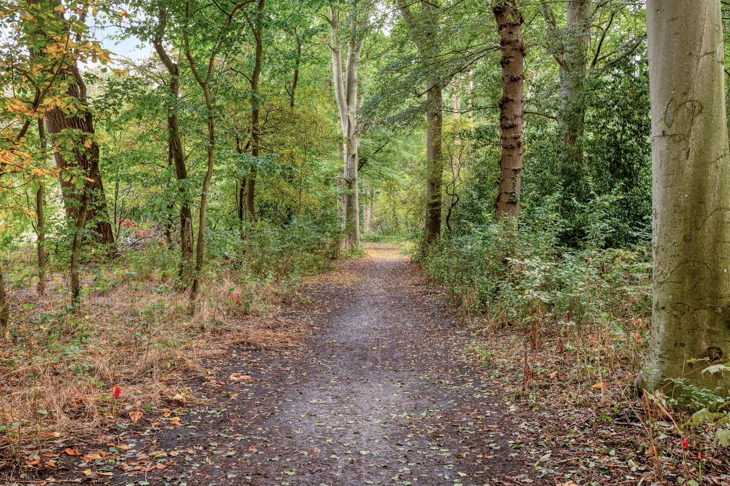 Photo 29 of Bethlehemweg 41