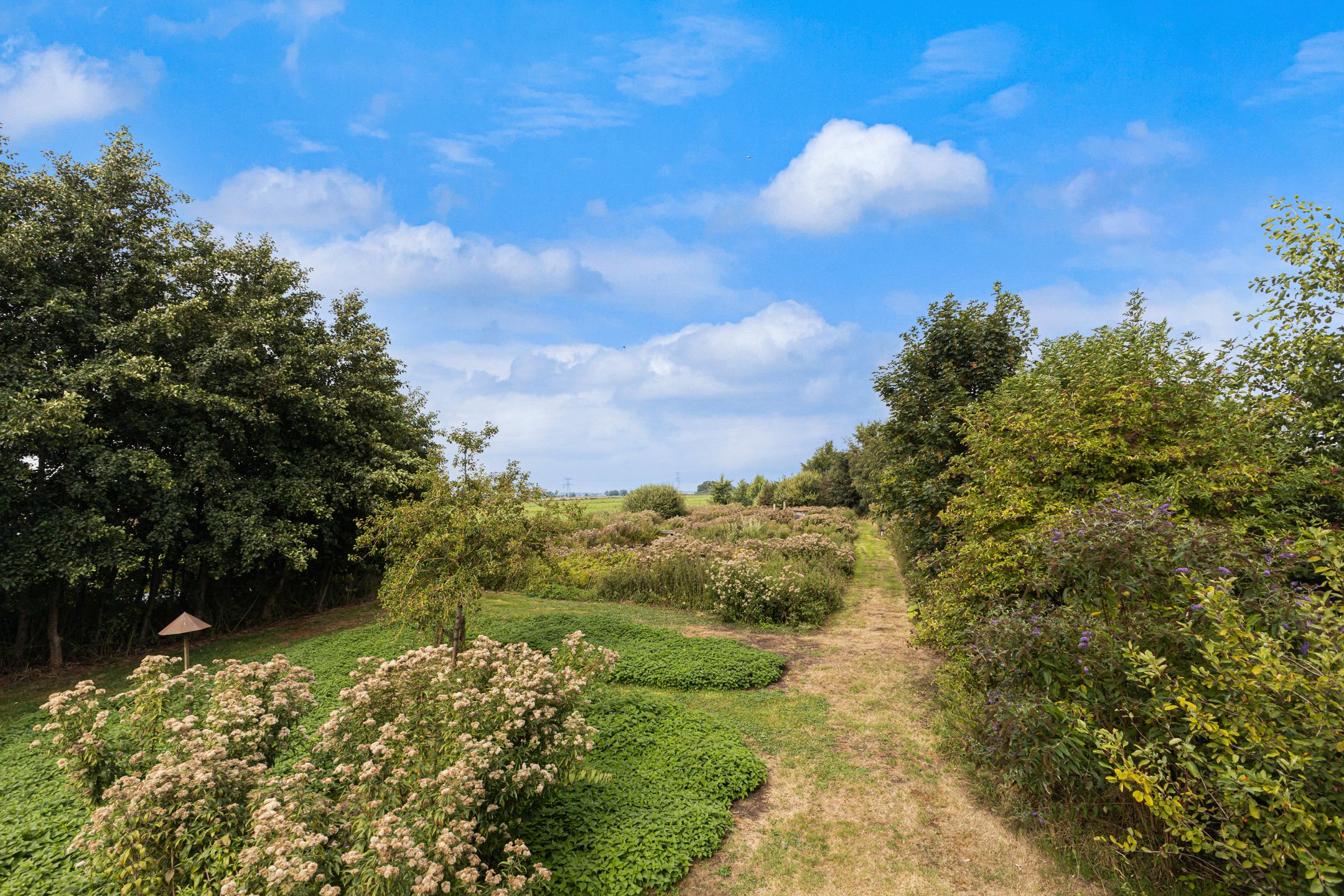 Photo 42 of Westeinde 76