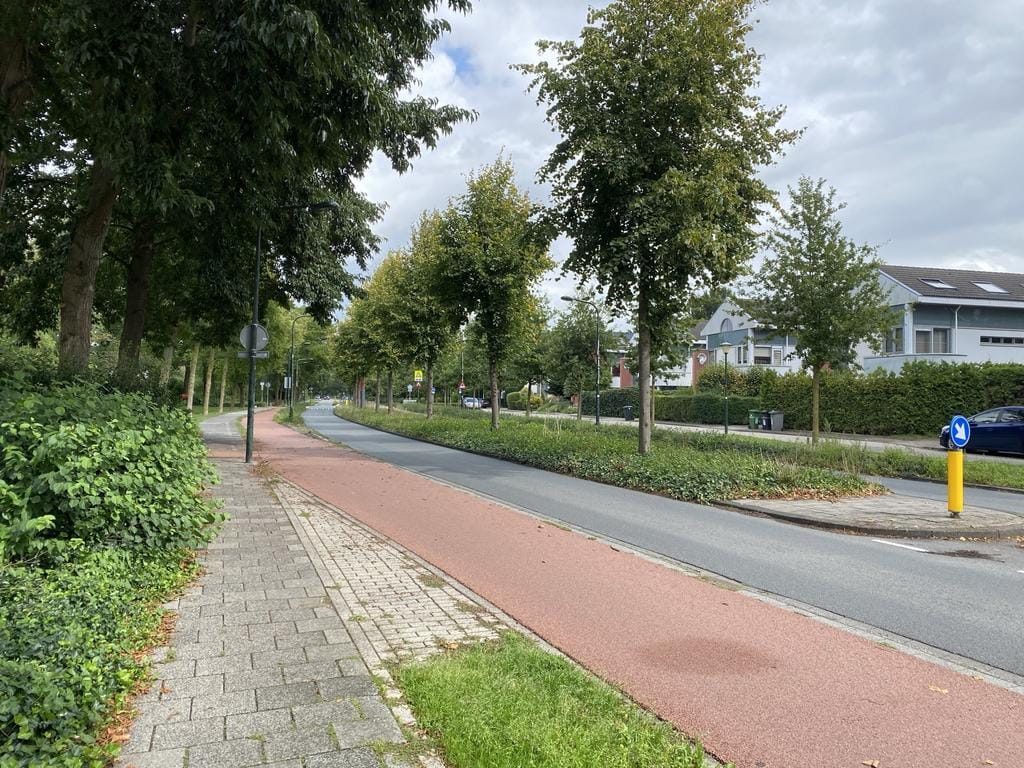Foto 46 van Aronskelkweg 42