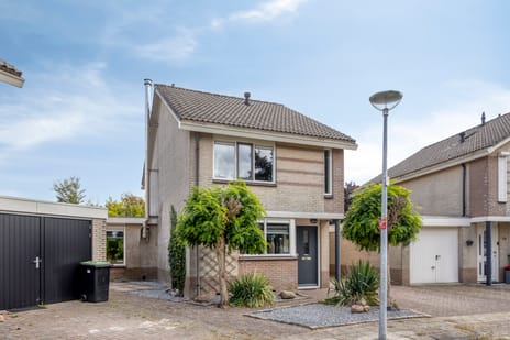 Lavendelstraat thumbnail