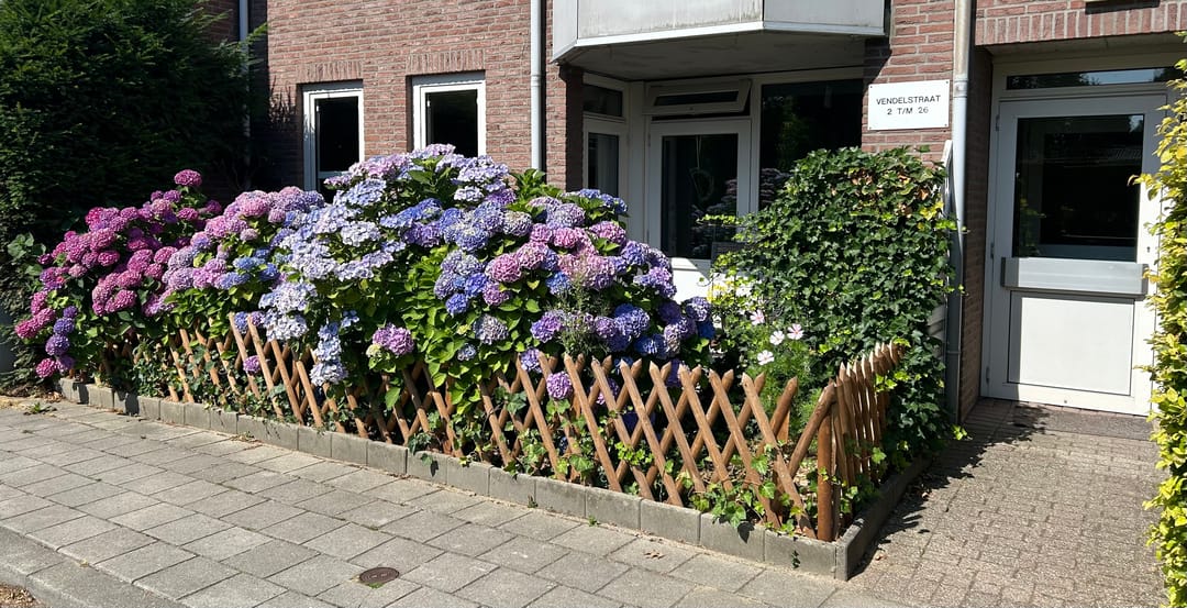 Foto 2 van Vendelstraat 6