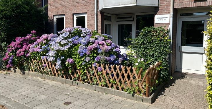 Foto 2 van Vendelstraat 6