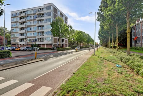 Van Boshuizenstraat thumbnail
