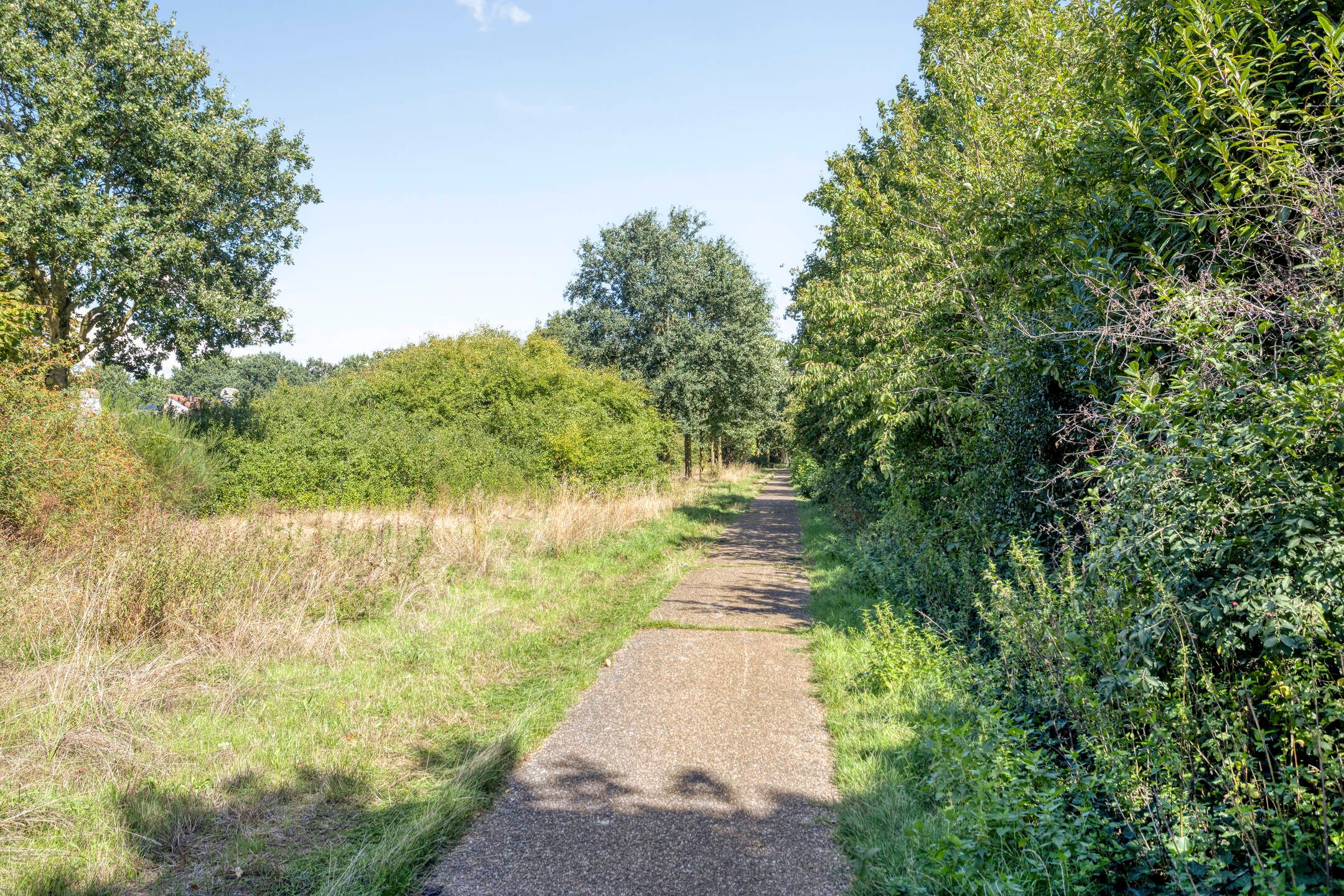 Photo 33 of Broekmorgen 36