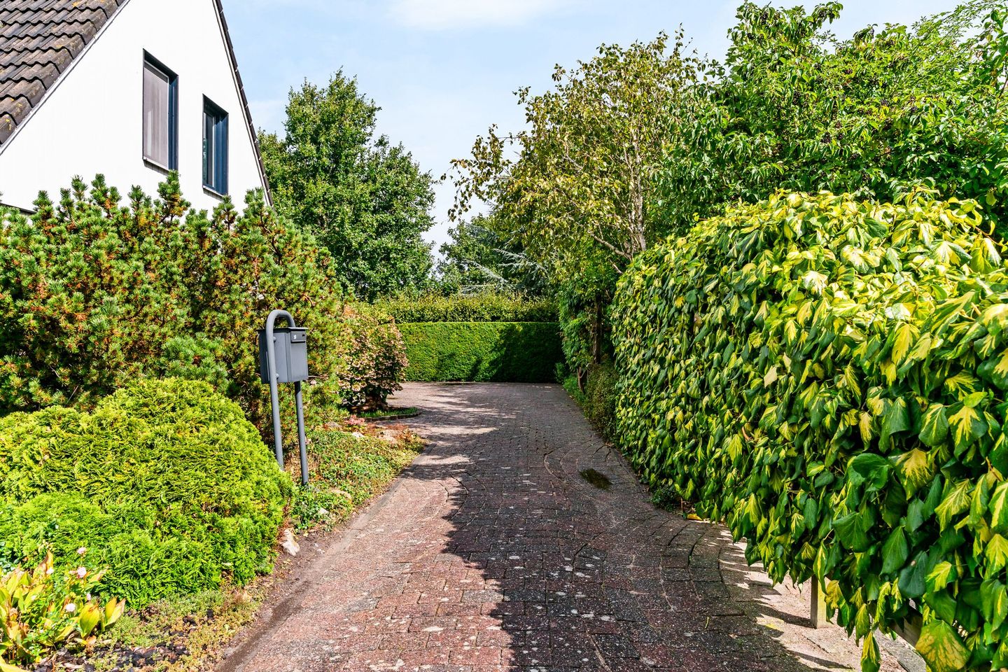 Photo 50 of Buitenhof 33
