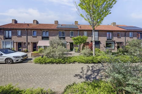 Bloemersstraat thumbnail