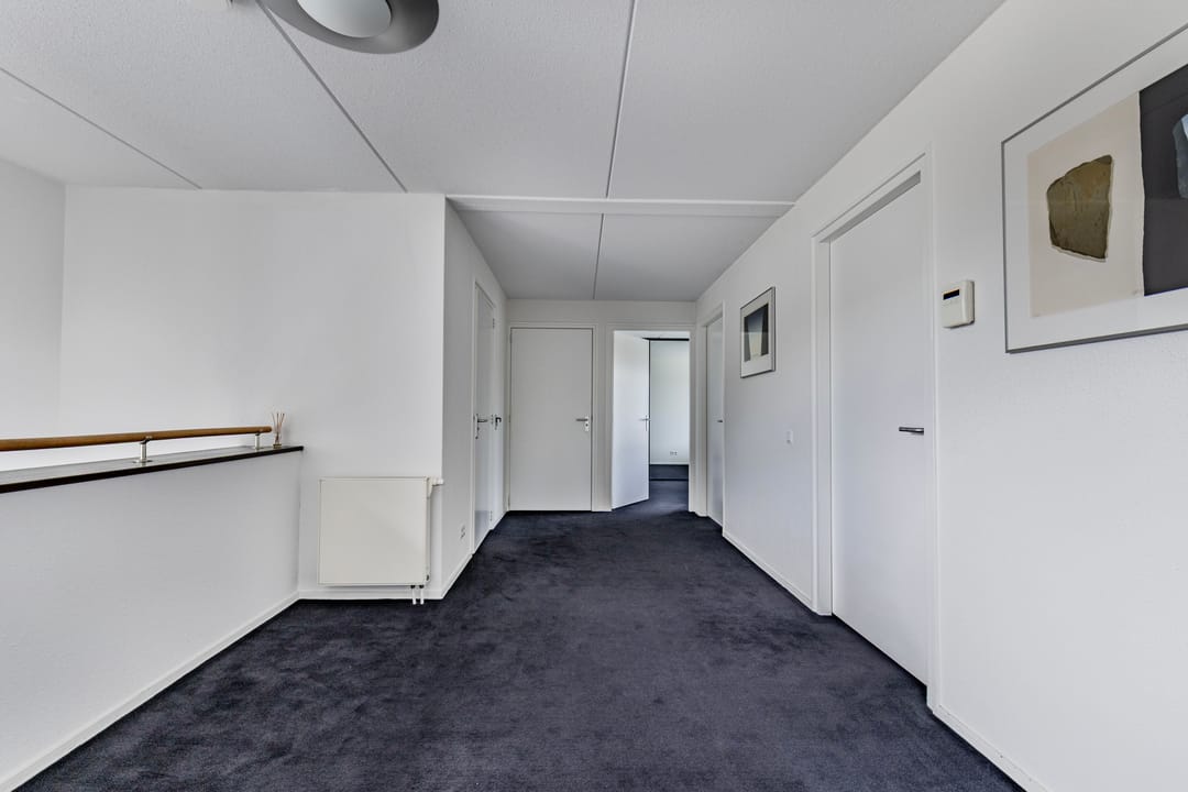 Foto 41 van Broekfinne 4