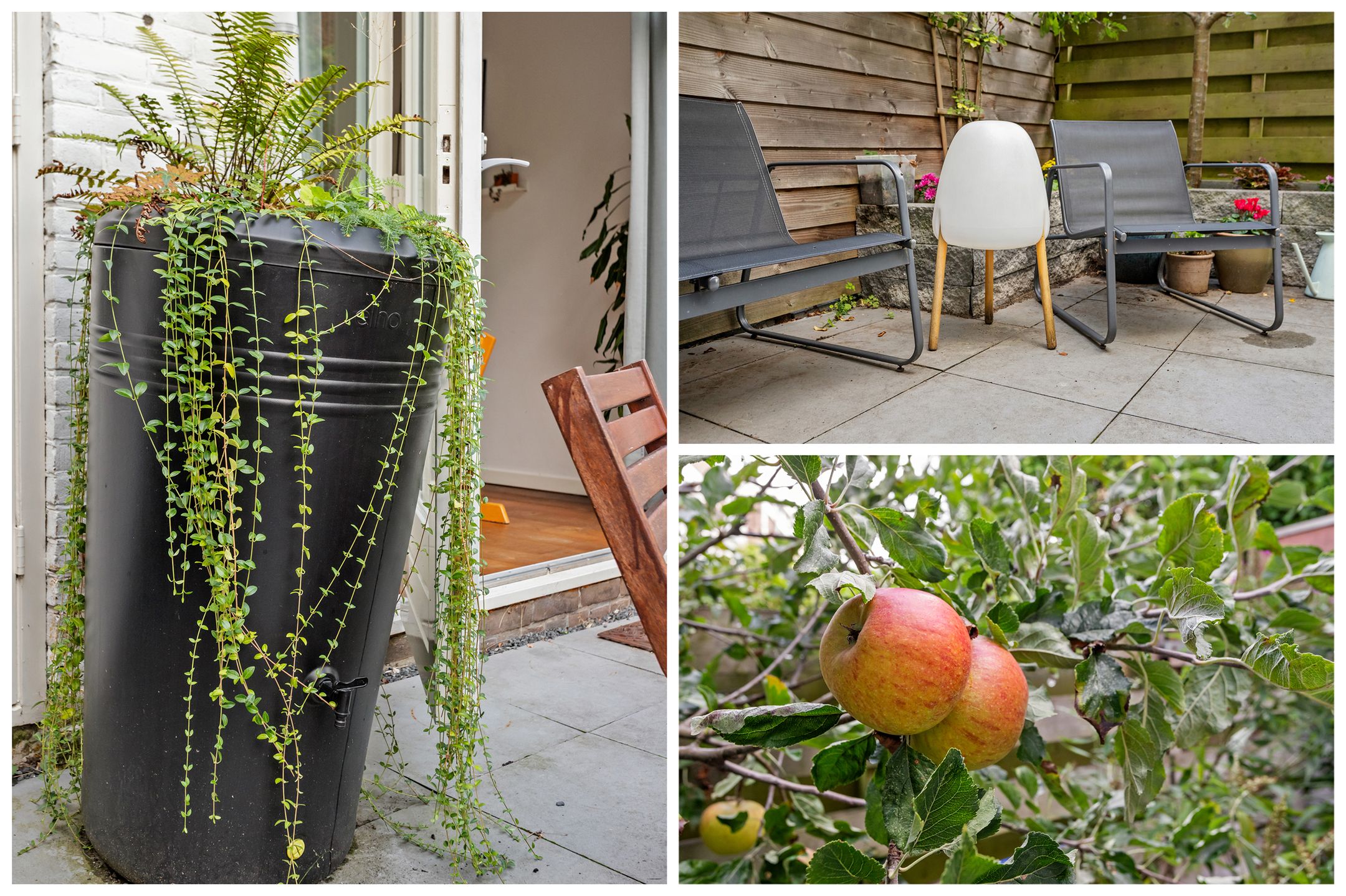 Photo 42 of Hasebroekstraat 15
