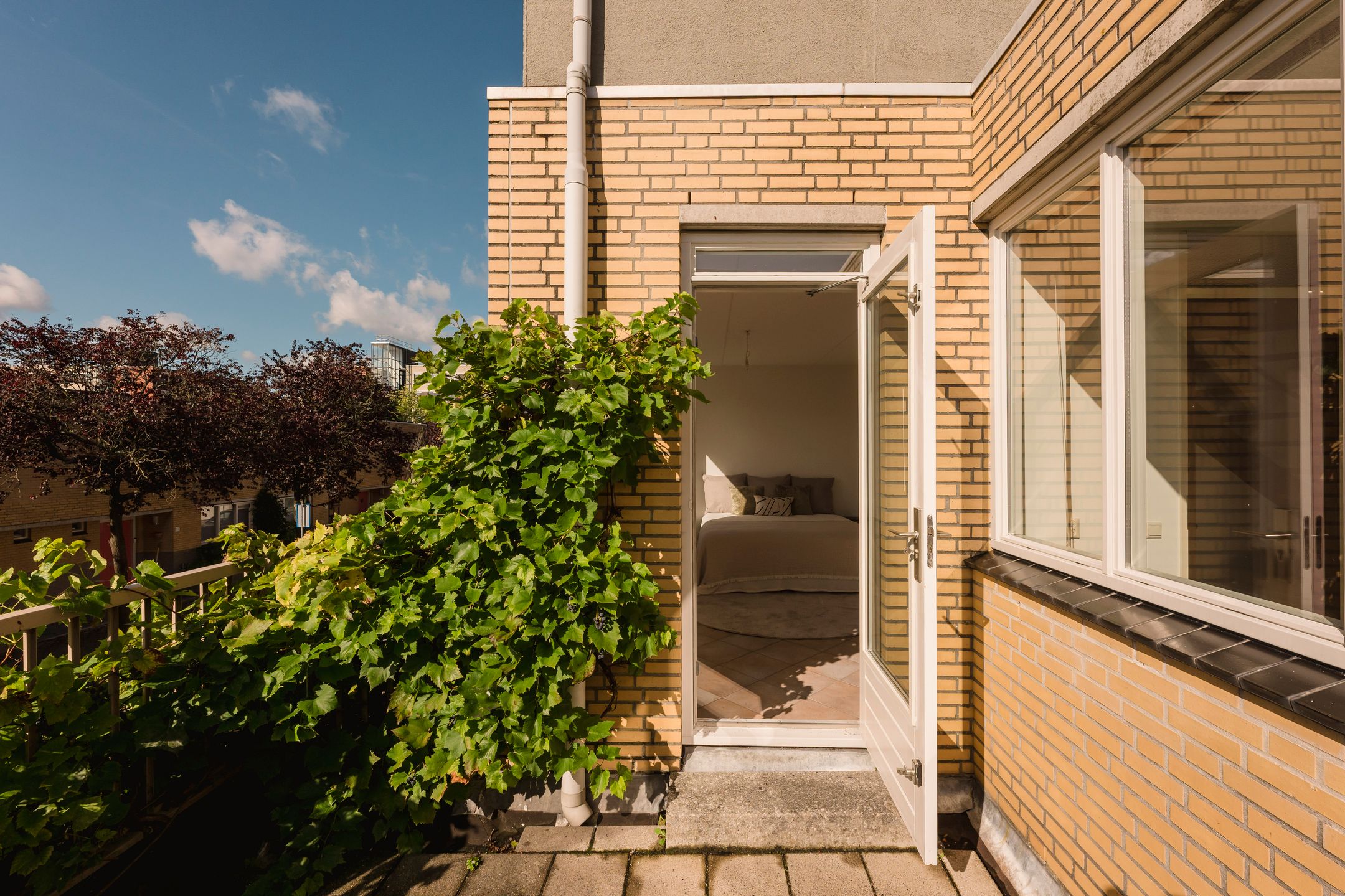 Photo 15 of Hamontstraat 14