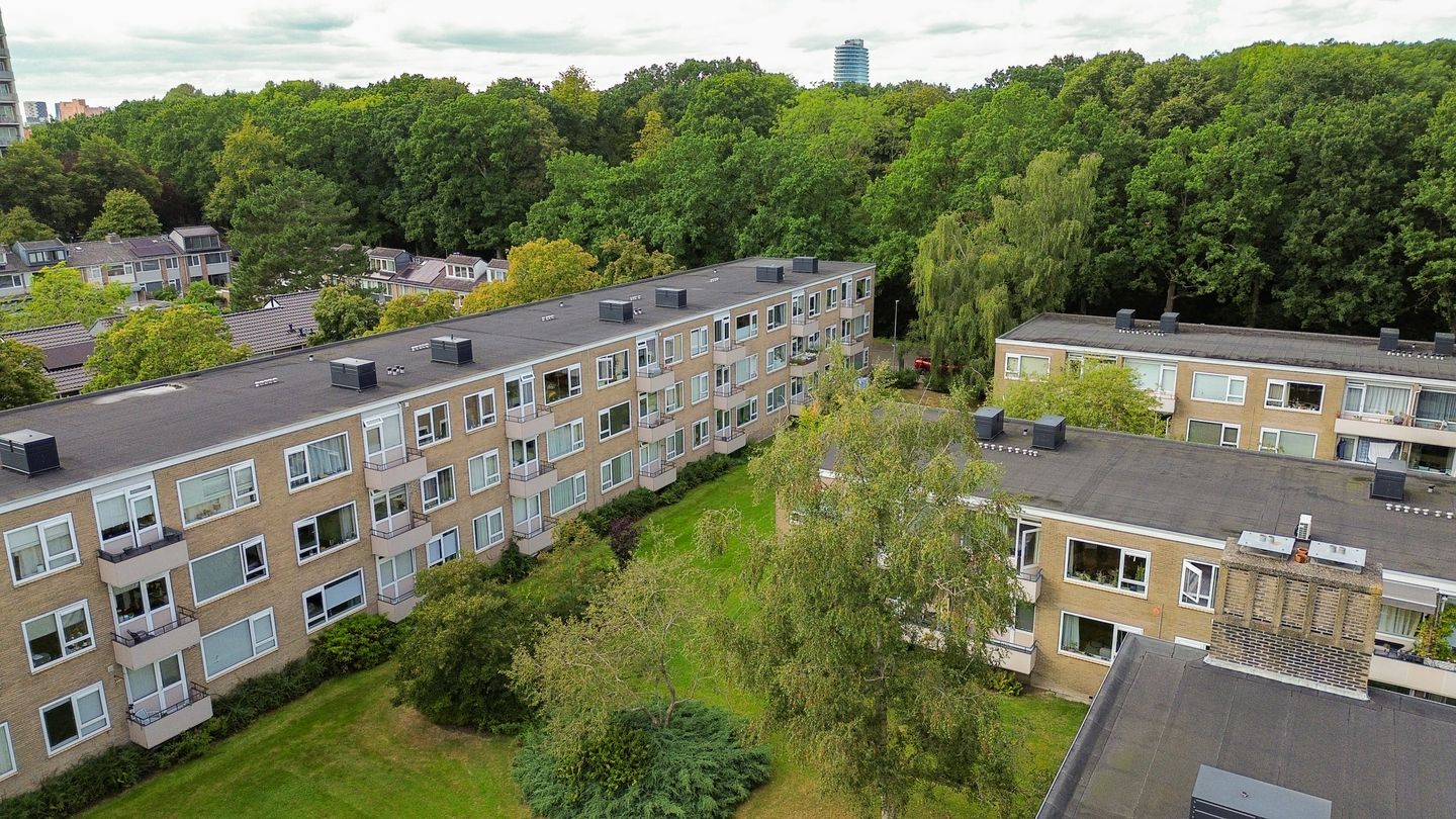 Foto 50 van Strausslaan 10