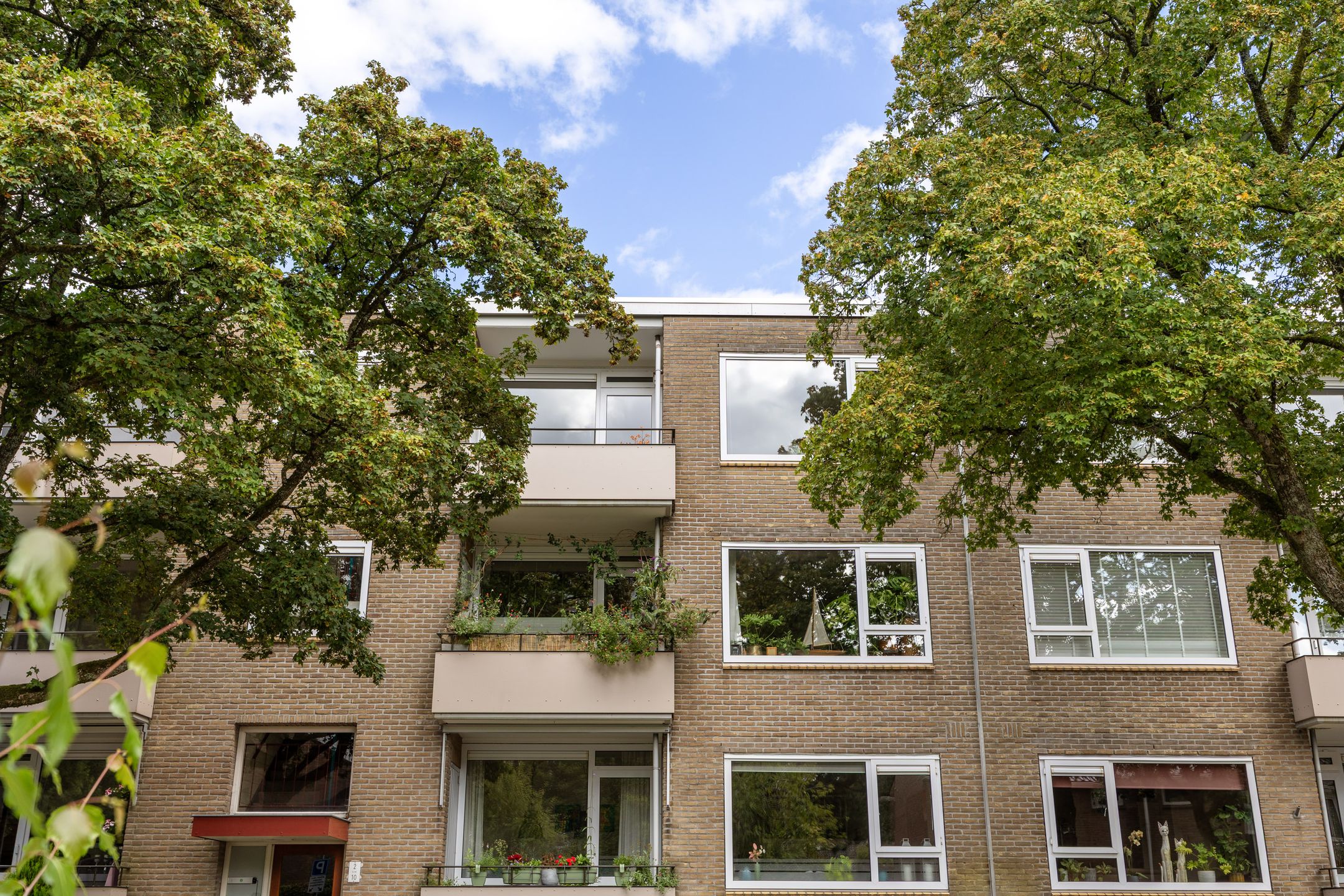 Foto 6 van Strausslaan 10