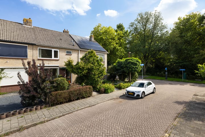 Foto 4 van van Halllaan 21