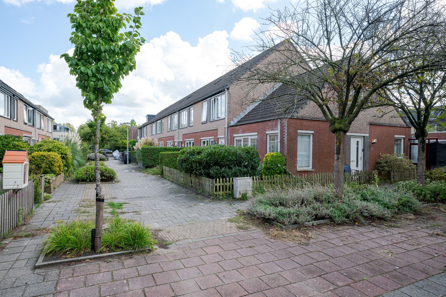 Photo 5 of Alexander Adamskistraat 22