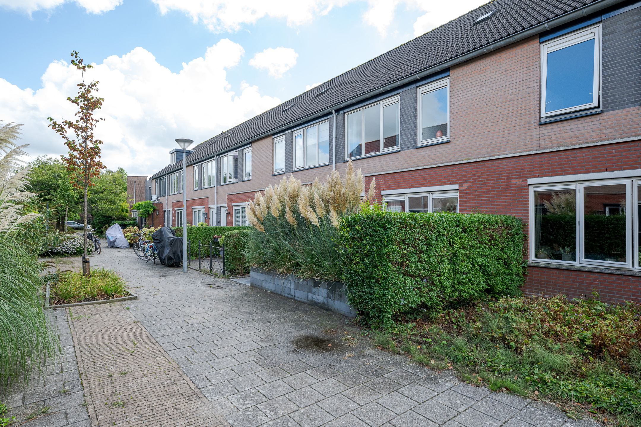 Photo 6 of Alexander Adamskistraat 22