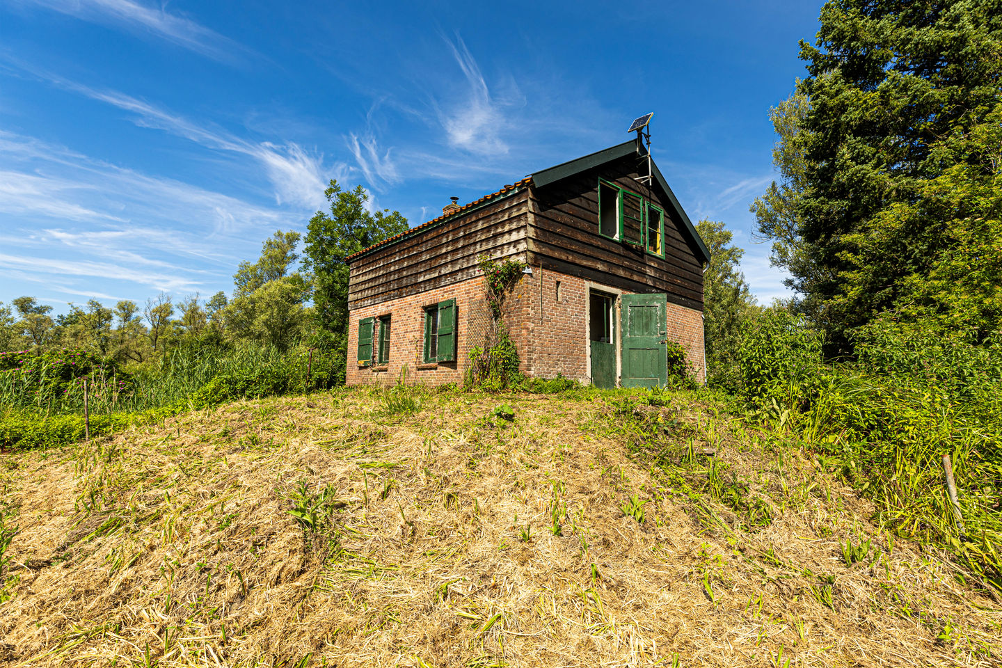 Bekijk foto 3 van Biesbosch 18