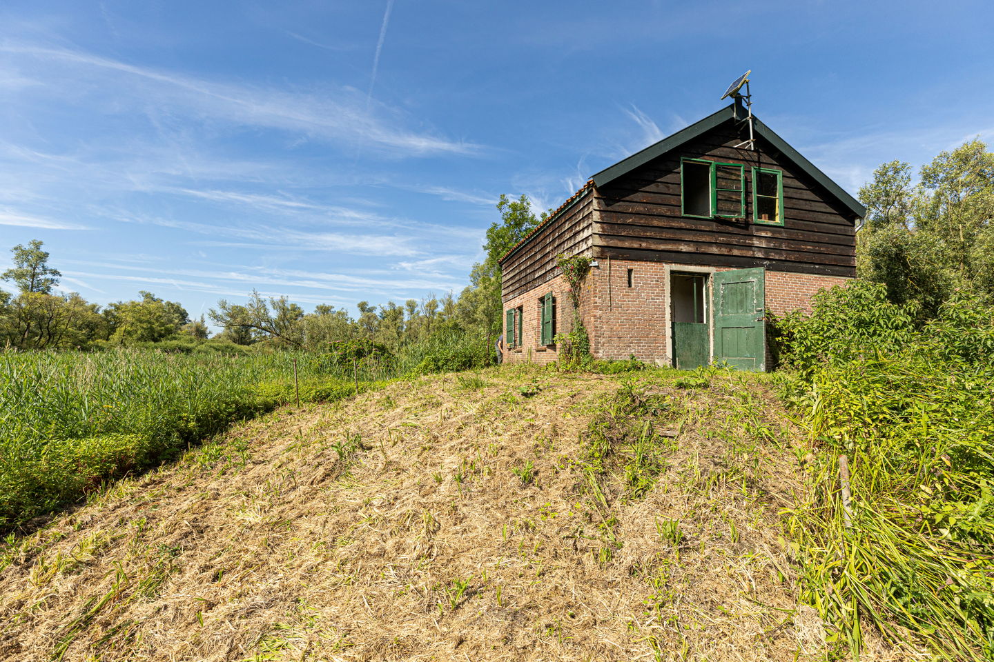 Bekijk foto 4 van Biesbosch 18