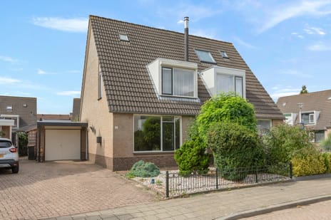 Goudreinette thumbnail