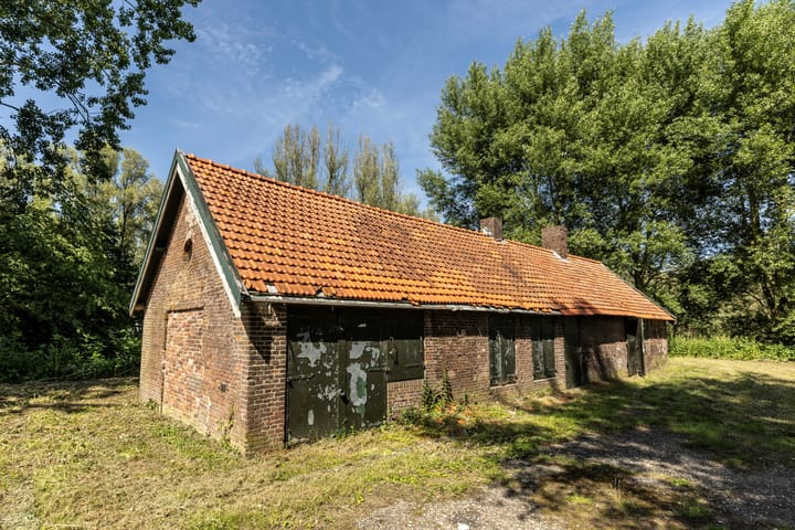 Steen van Kloosteroord, Hank