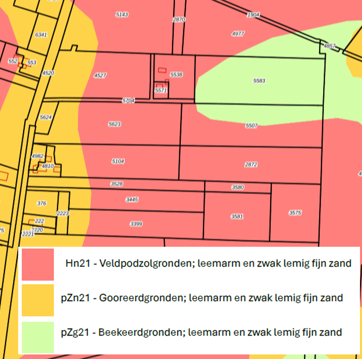 Schapendijk - Punthorst - Afbeelding 6
