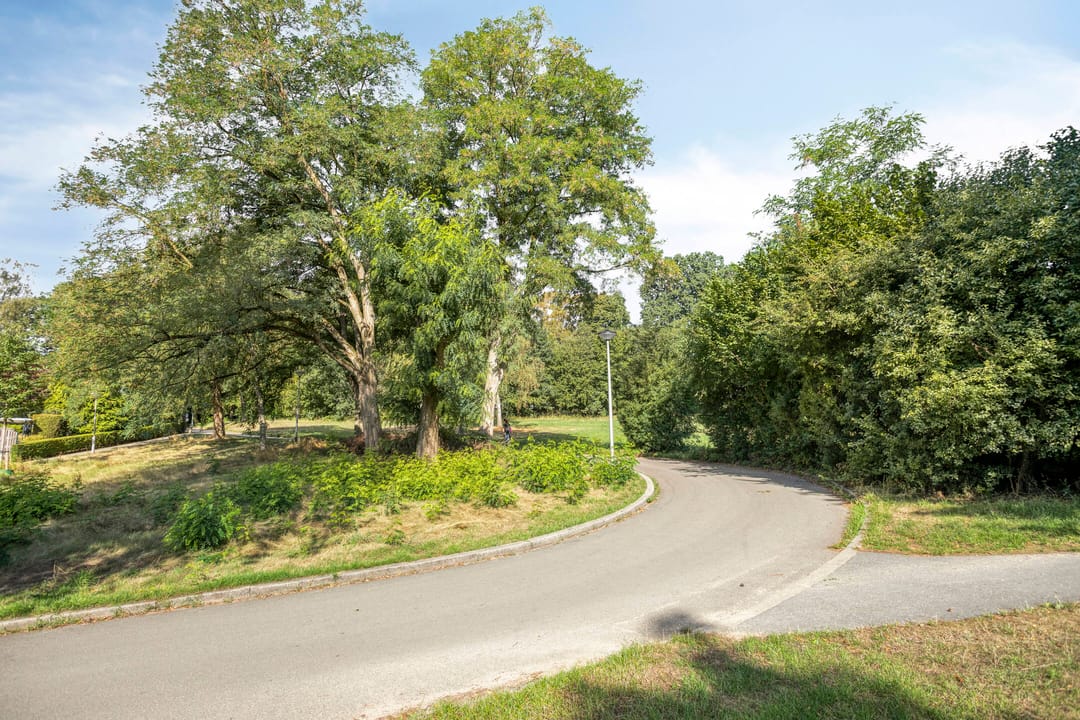 Photo 23 of Noordelijke Parallelweg 135