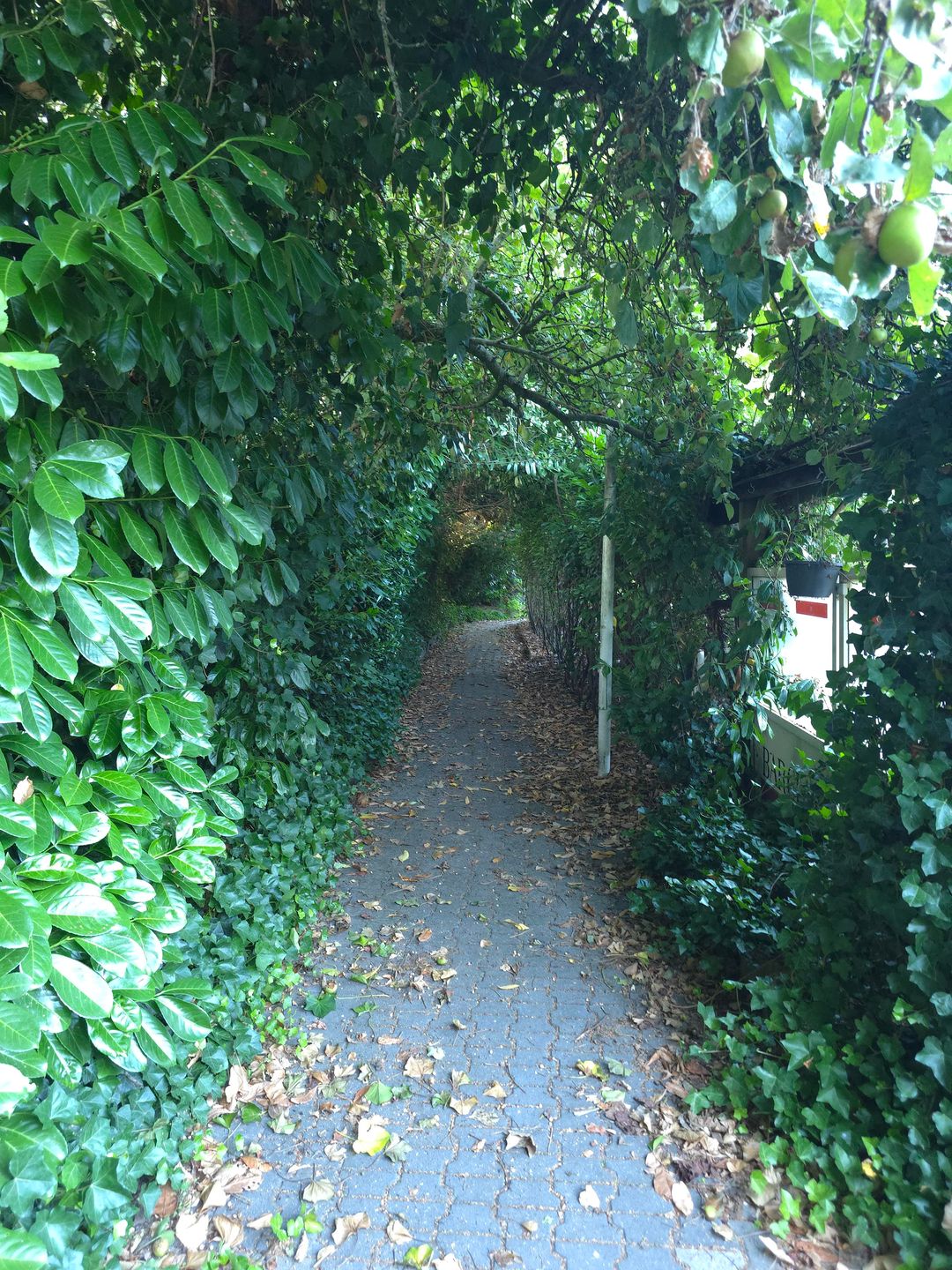Foto 68 van Goormatenweg 43
