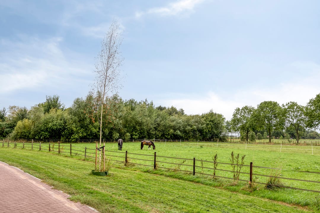 Photo 37 of Kleine Hagen 16