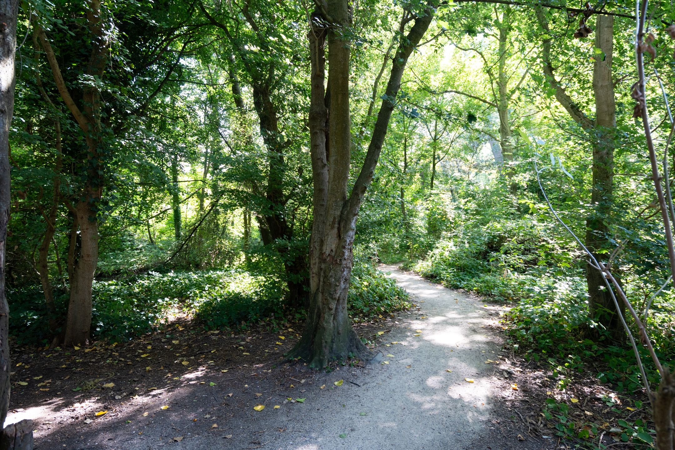 Photo 24 of Kramatweg 54-A