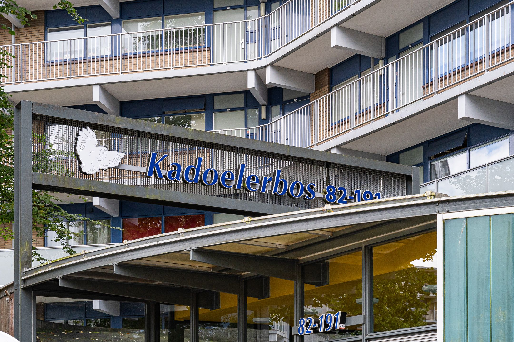 Photo 9 of Kadoelerbos 109