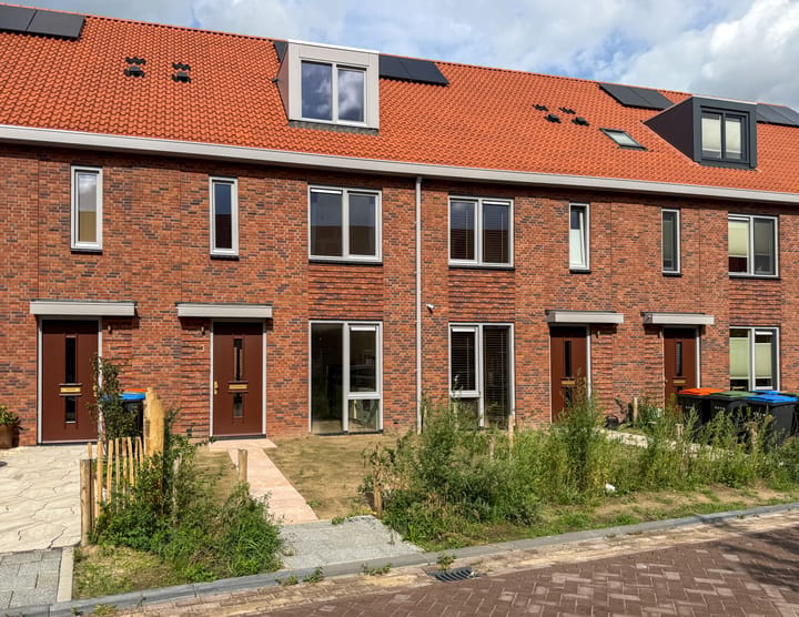 Foto 4 van Drakensbergen 3