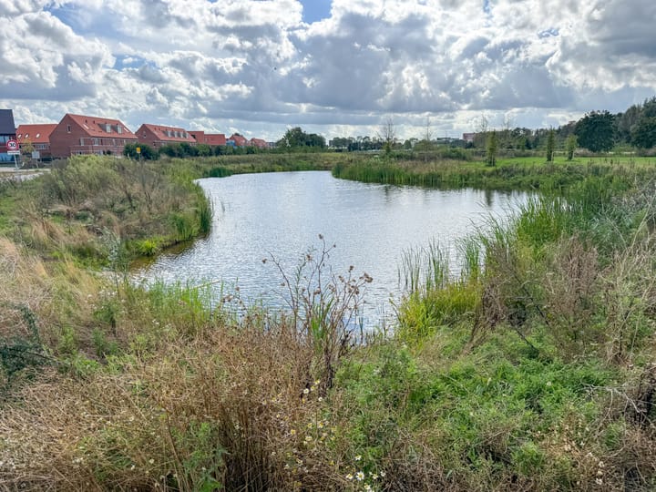 Foto 2 van Drakensbergen 3