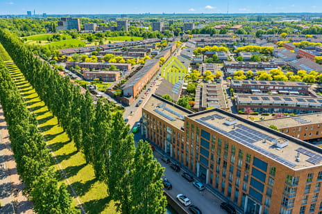 Korianderstraat thumbnail