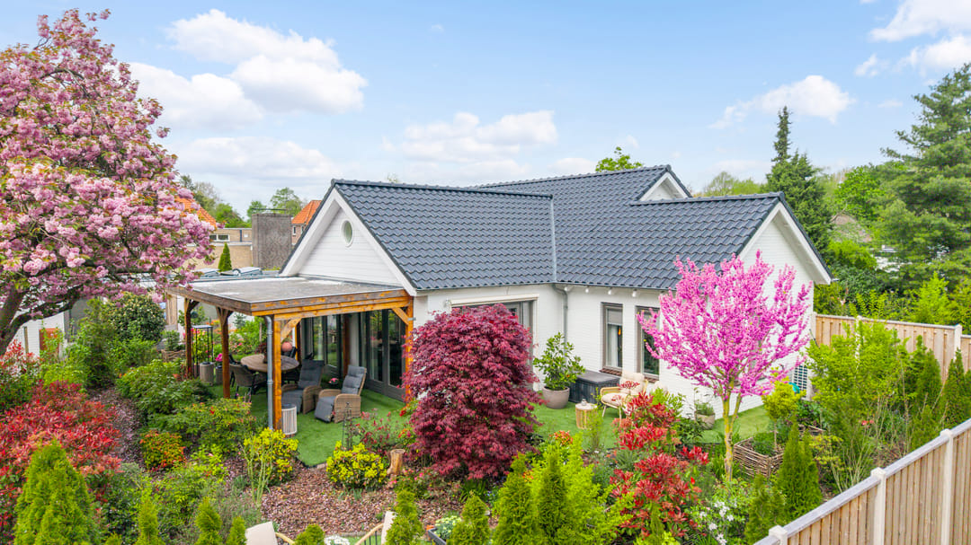 Photo 1 of Boerenerf 3
