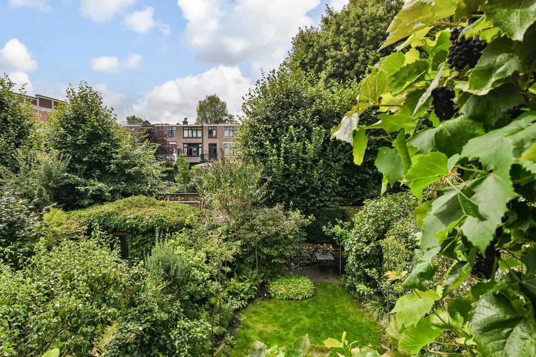 Photo 31 of Burnierstraat 36
