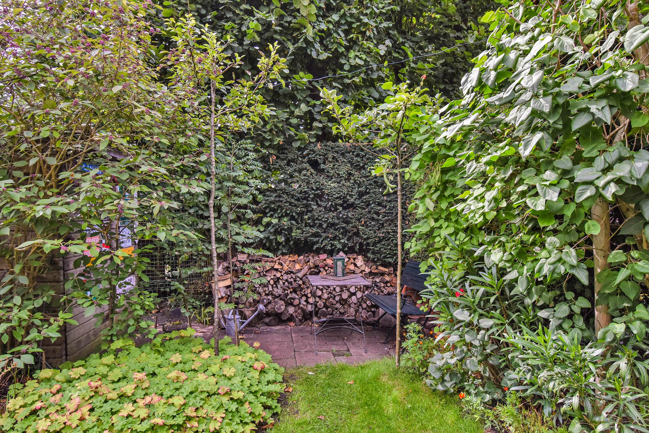 Photo 18 of Burnierstraat 36