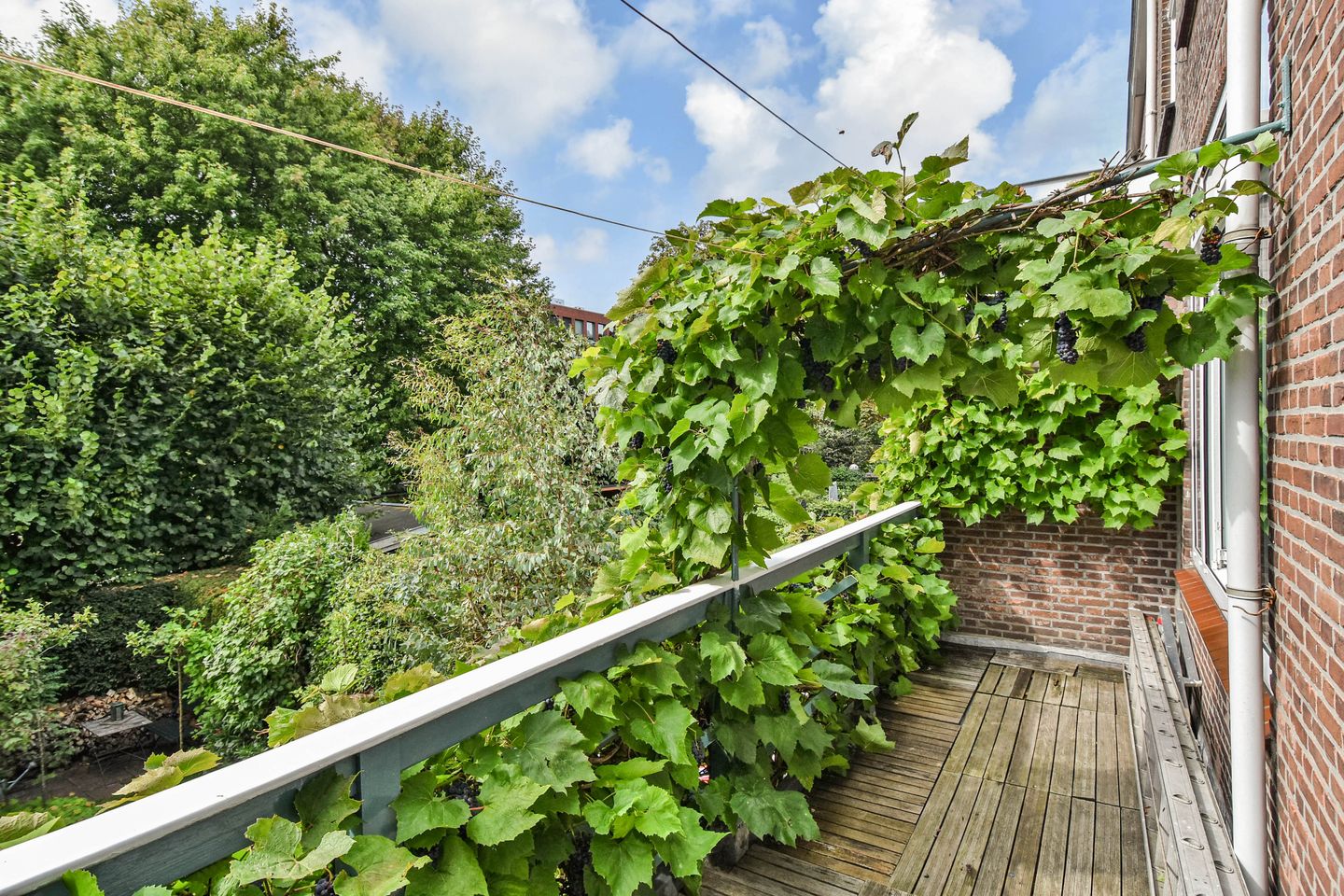 Photo 35 of Burnierstraat 36