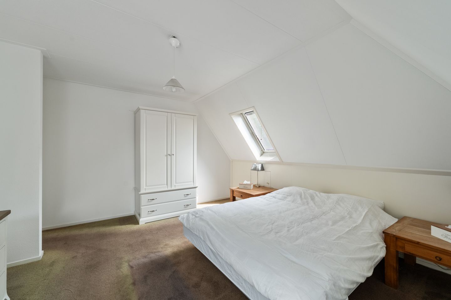 Foto 5 van Koraal 2