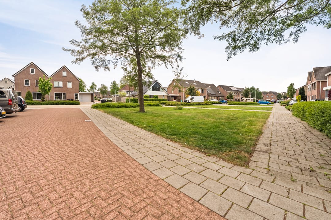 Foto 7 van Koraal 2