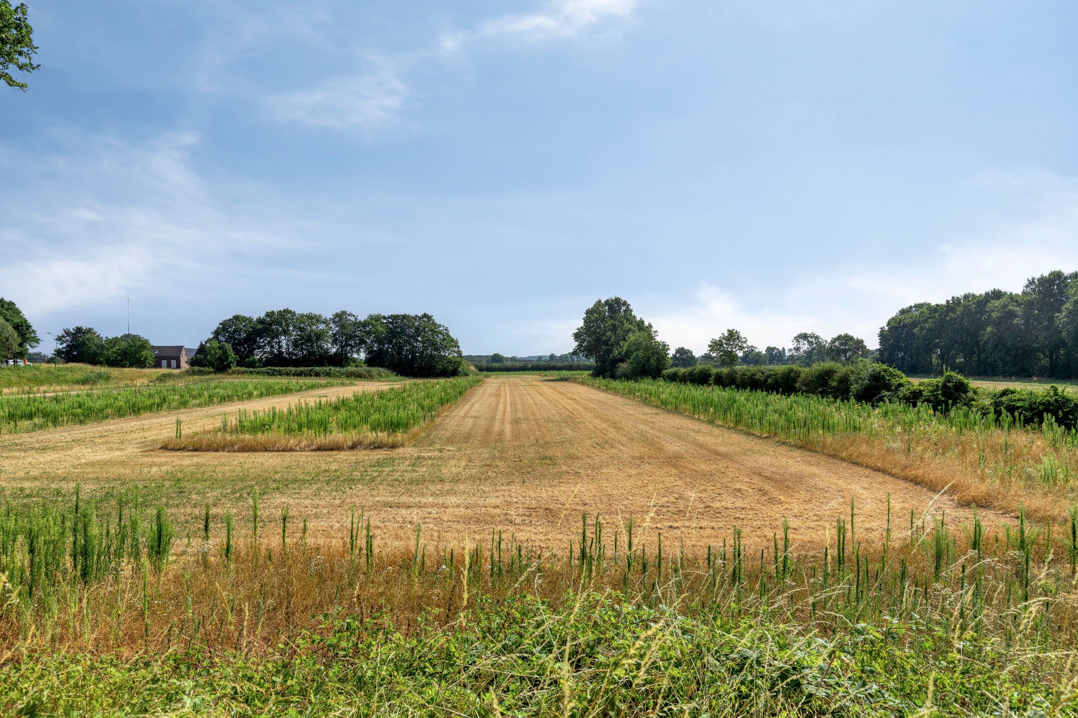 Photo 60 of Molendijk 23