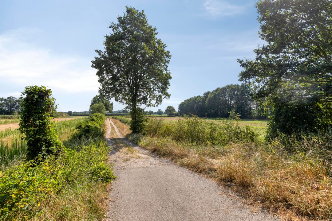 Photo 61 of Molendijk 23