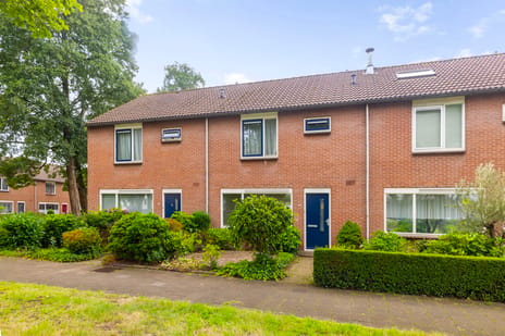 Kruizemuntstraat thumbnail