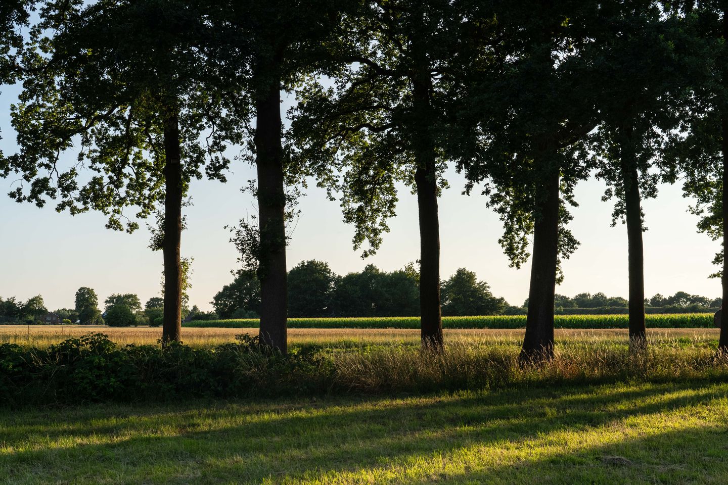 Foto 25 van Hondemotsweg kavel C