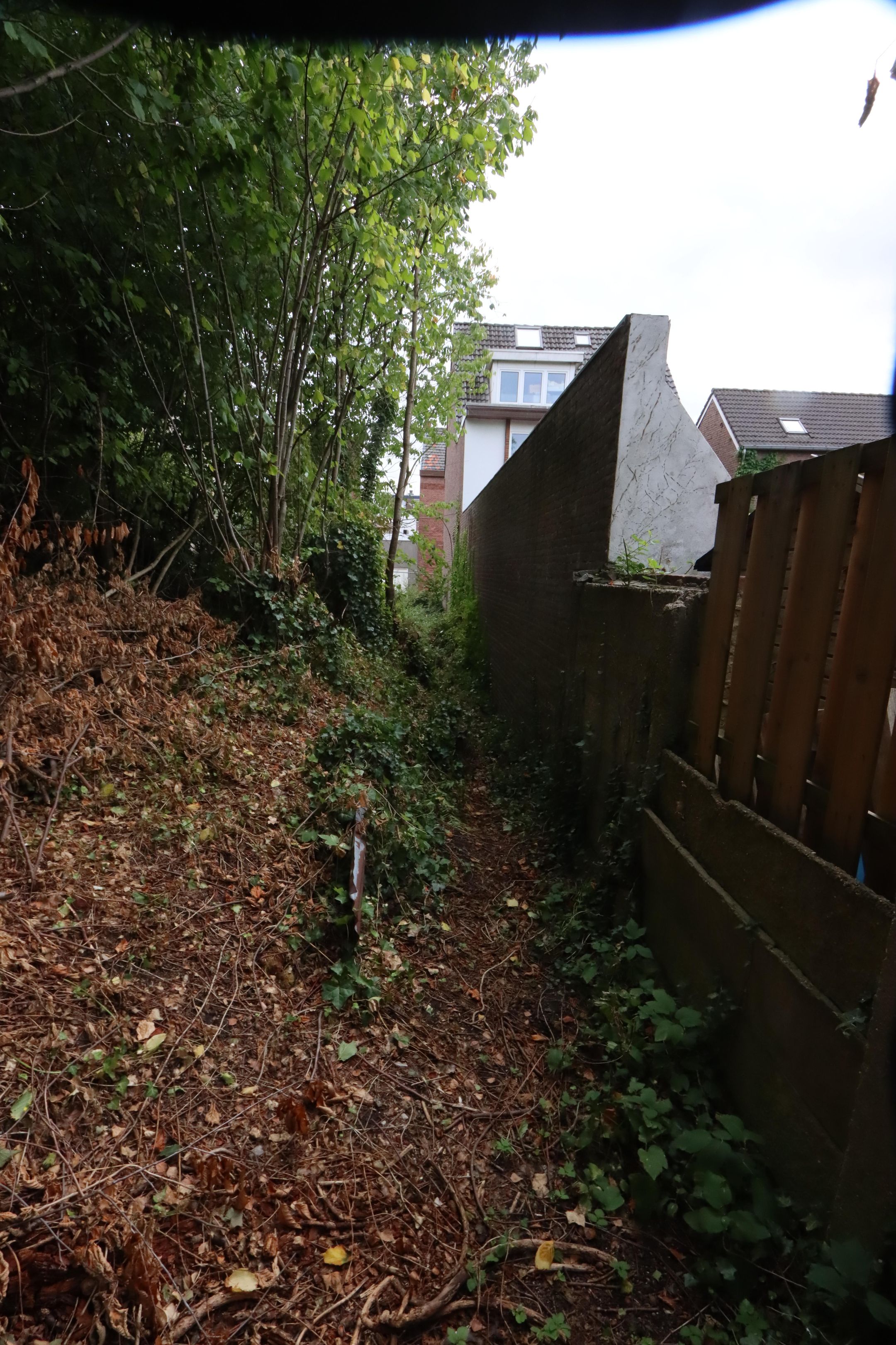 Photo 9 of Drievogelstraat 6