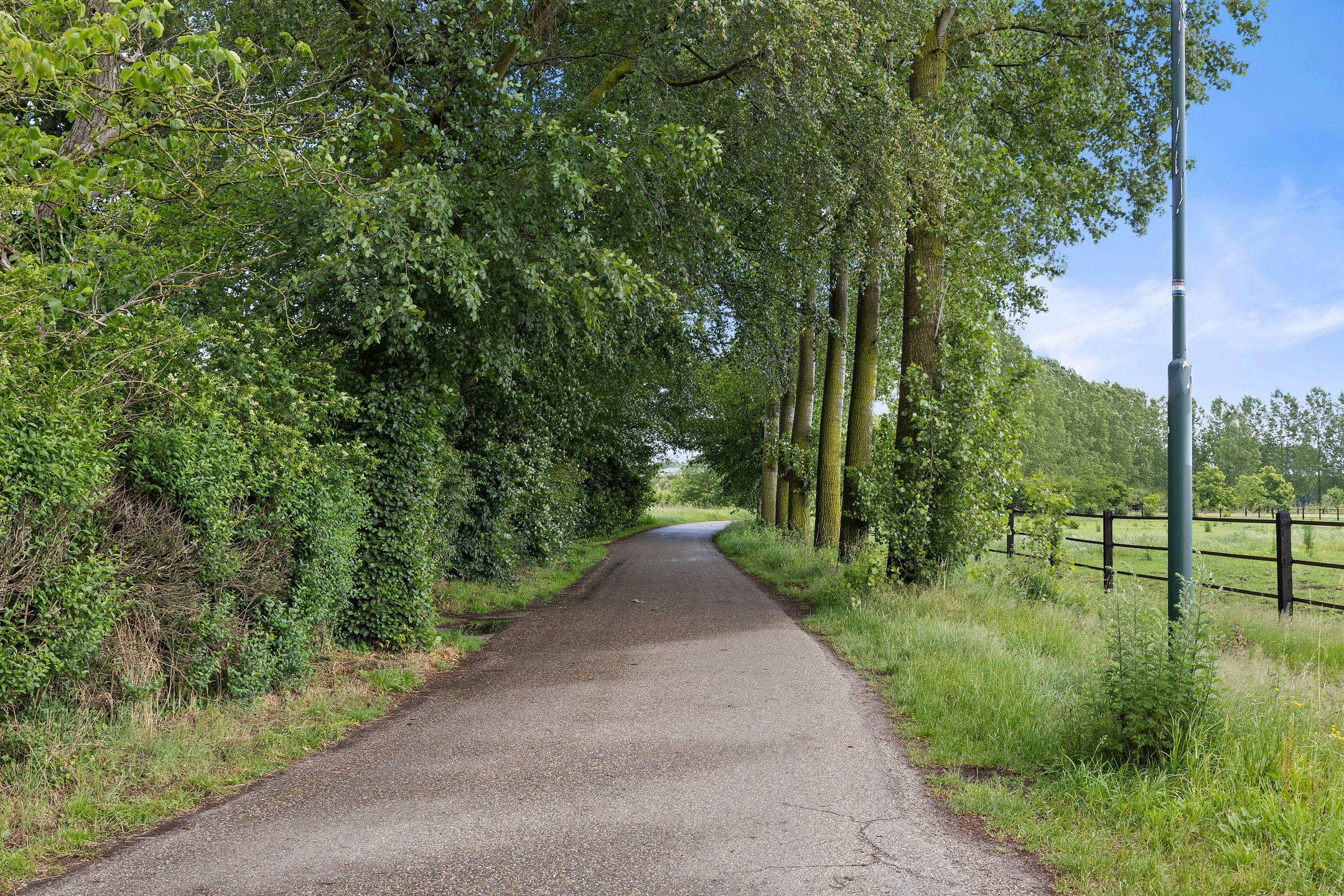 Photo 30 of De Hogert 1