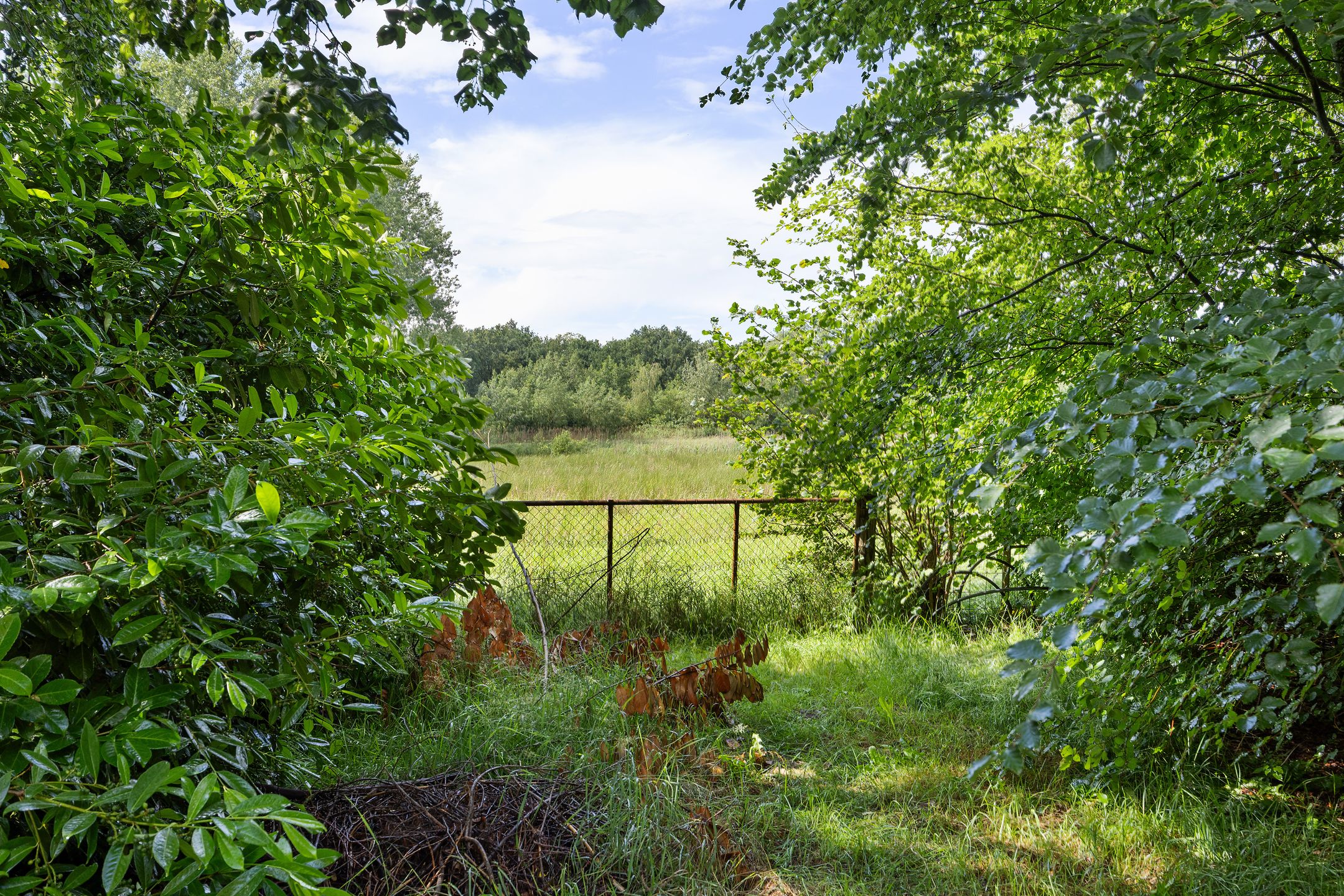 Photo 15 of De Hogert 1