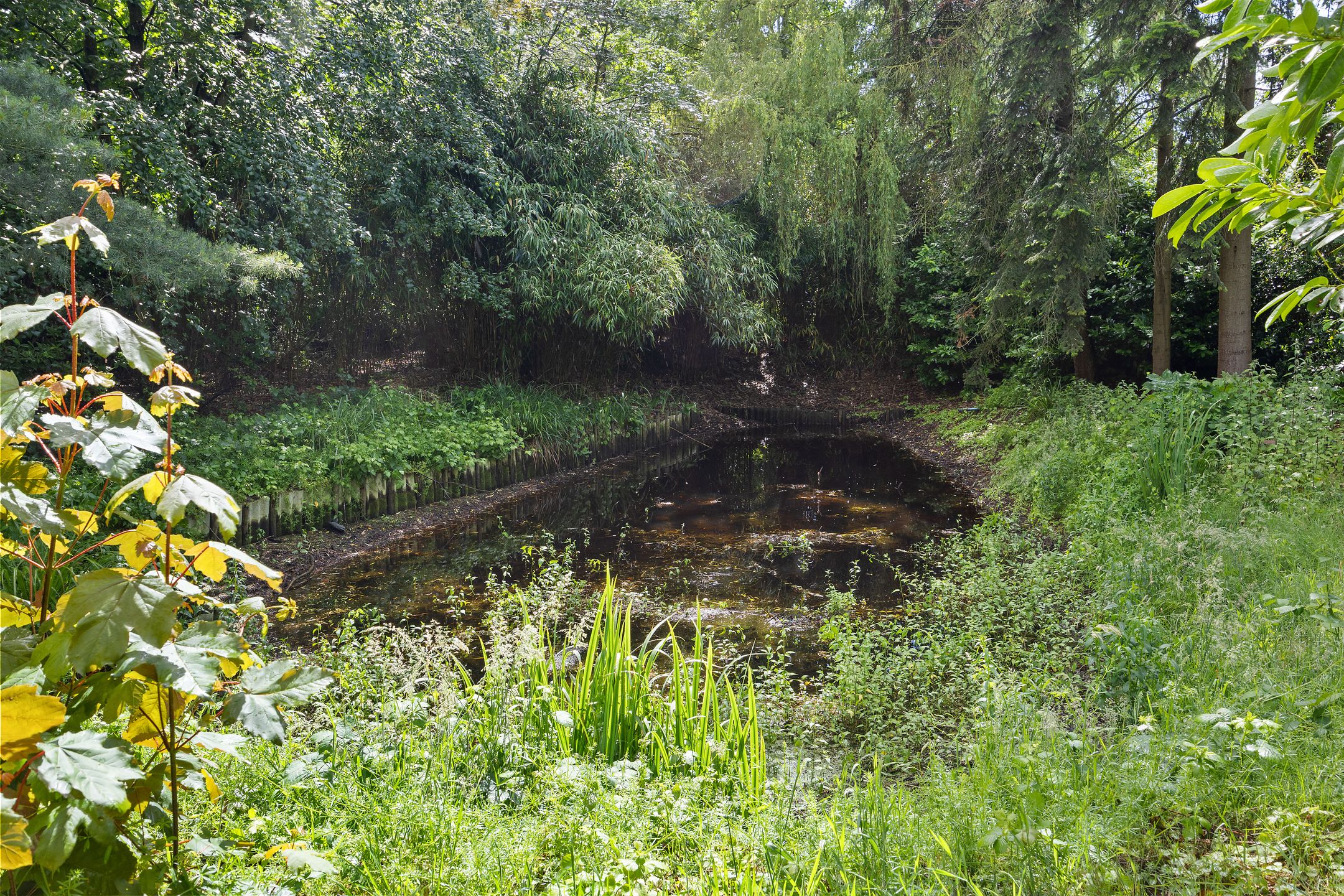 Photo 12 of De Hogert 1