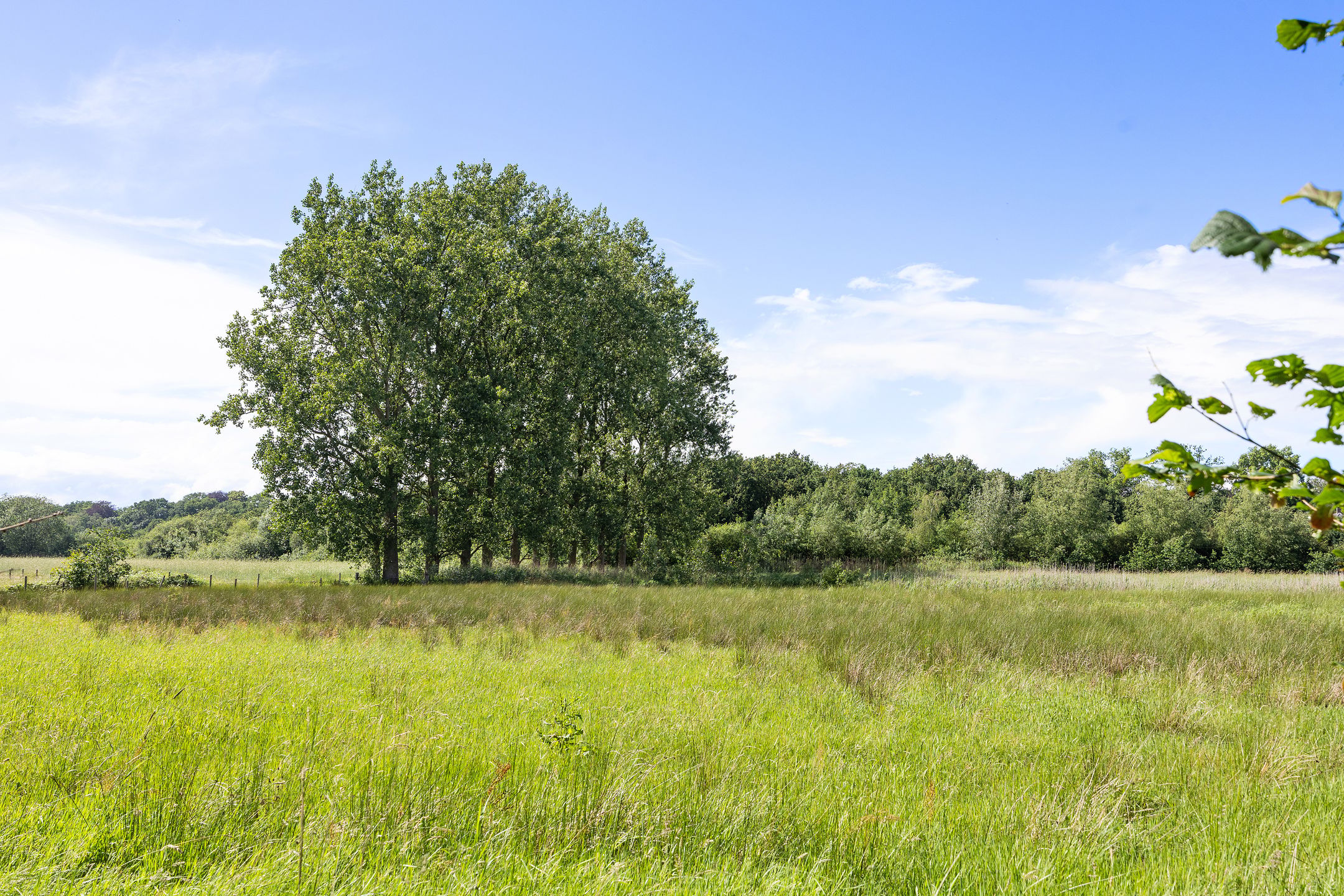 Photo 3 of De Hogert 1