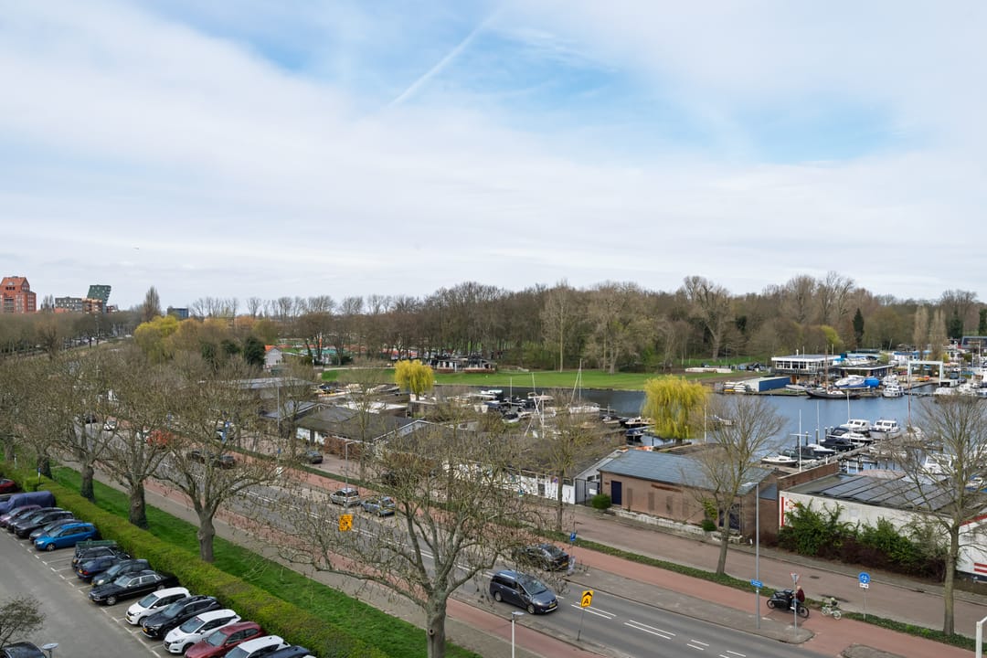 Photo 22 of Kralingse Plaslaan 166